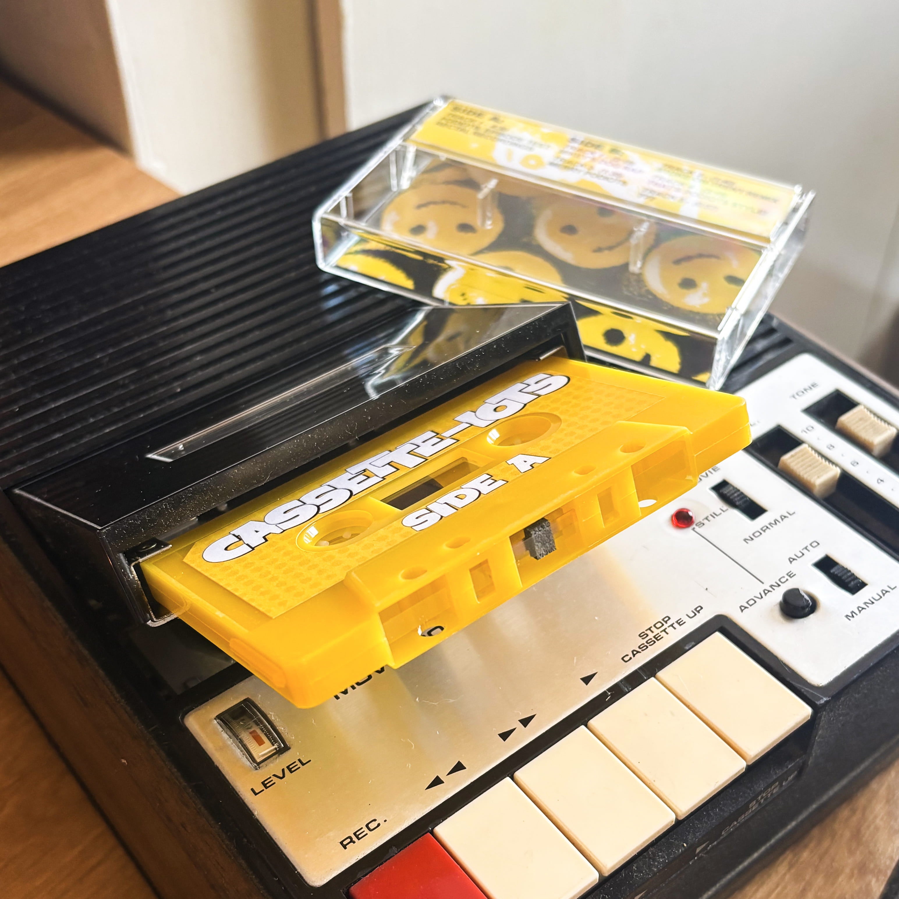 Cassette-iots: Vidiots Greatest Hits Cassette Tape