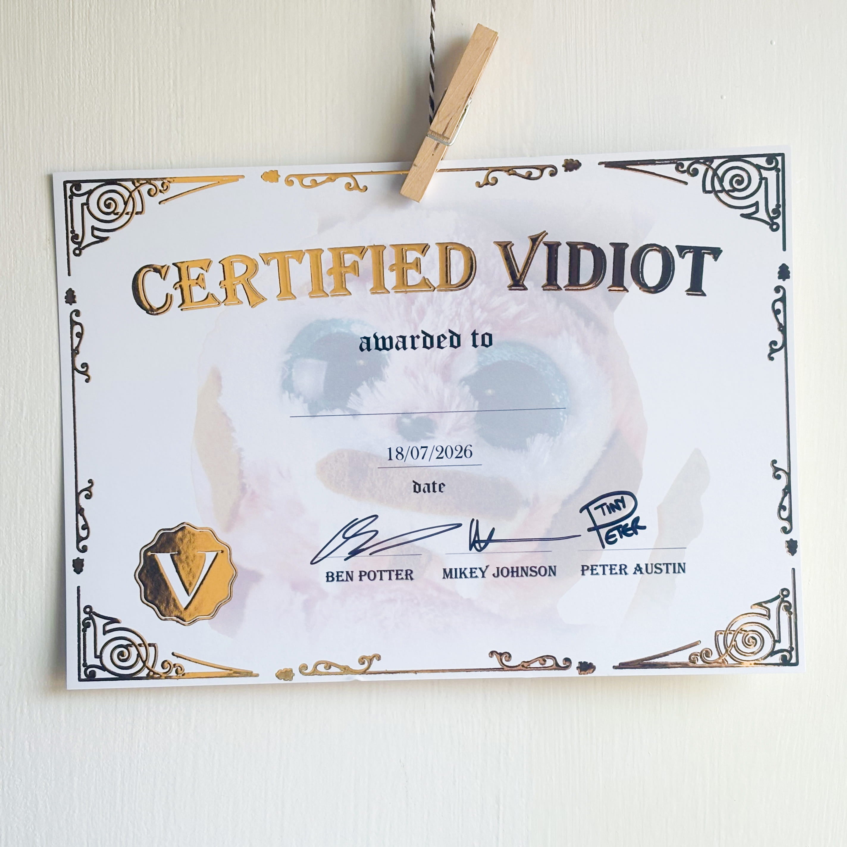 Signed Certified Vidiots Certificate
